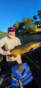 Hard-Fighting Chinook Landed