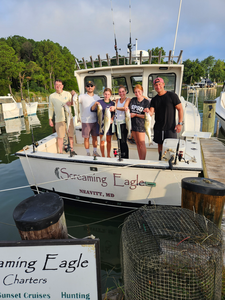 Chesapeake Bay White Bass & Stripers - Top-Rated Half-Day Trip