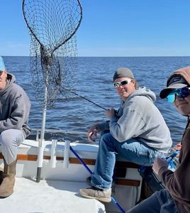 Steady Summer Action with Active Bass, Pike, and Panfish