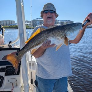 Spot Stalker Charter Update