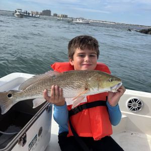 New Smyrna Beach Fishing: Best Seasons Explained