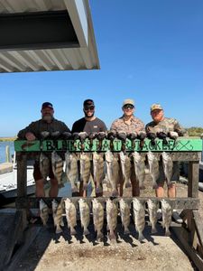 Consistent action and solid limits all season