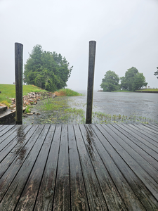 Non-Stop Action: Lake Seminole Summer Fishing Heats Up