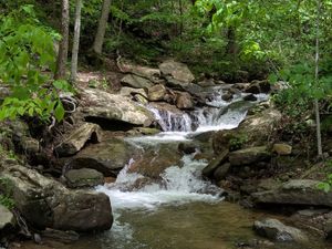 Top Things To Do In Georgia