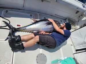 Tuna Time is Here – Rods Up and Lines Tight!