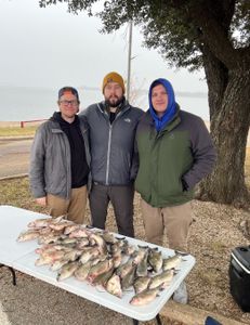Lake Lavon White Bass 12/13/2025