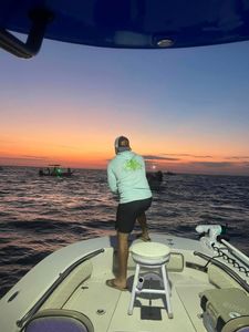 Cape Coral Fishing Report