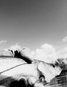 Slow troll back country snook