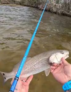 Wading Burnt Store Bar