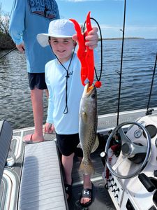 Fish-Species