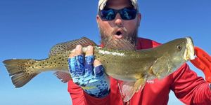 Cape Coral Fishing Report