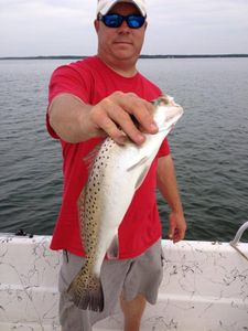 Spotted Sea Trout lured from Trappe, MD