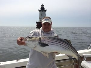 Large Striped Bass Fishing, Maryland