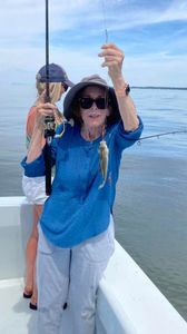 Tiny but mighty reels Chesapeake Bay!