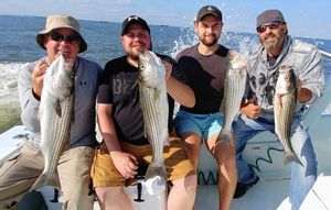 Great haul striper fishing Chesapeake Bay!