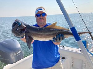 Cobia Fishing, Trappe, Maryland