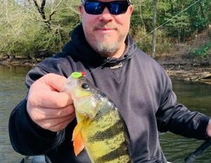 Chesapeake Bay Fishing Report