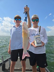 Rare Albino Catfish on Punch Bait