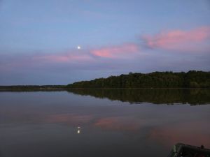 Spring Recap and Summer Bowfishing Ahead