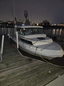 Lake Erie Fishing Report