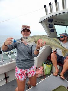 Lorain, Ohio: Where the Walleye Migration Begins and Ends