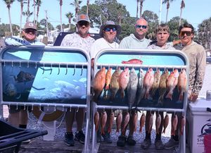 Current Local Catch Guide for Destin, Shalimar, and Fort Walton Beach