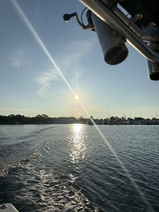 Shalimar Offshore Adventure: Mackerel, Snapper, Grouper Fishing