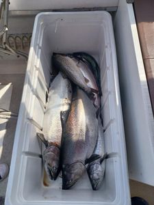 Full Box Friday Success!