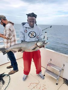 Solid Salmon Action on Lake Ontario