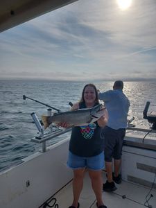 Spring Brown Trout Season Is Almost Here