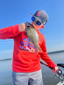 July Highlights on the Susquehanna and Juniata Rivers