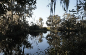 Get Your Valid Louisiana Fishing License 