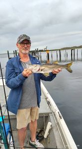 Chasing Reds Through the Homosassa Backwaters