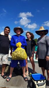 Scallop Season 2026