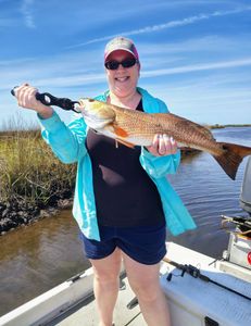 Redfish bite