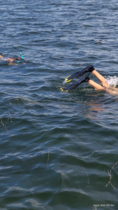 Chassahowitzka River: Mixed Tactics Yield Fun Day on the Water