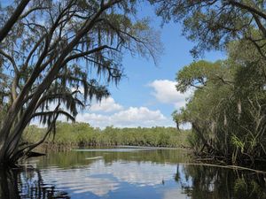 Things To Do in Homosassa