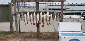 Aransas Pass Fishing Report