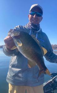 Great smallie from the depths of TRock!