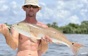 Current Conditions and Top Species to Target in Old Town’s Inshore Waters