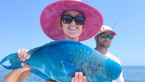 Gorgeous blue parrotfish reeled in NC waters!