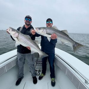 Light Rain, Less Traffic, More Striper Bites