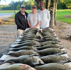 Catch Bass with Local Experts