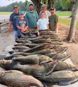 Wrapping Up Another Strong Week