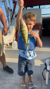 Lake Erie Yellow Perch Action - Matthew's Crew Lands Great Catches