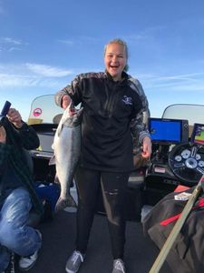 Fun Salmon Fishing in Lake Michigan