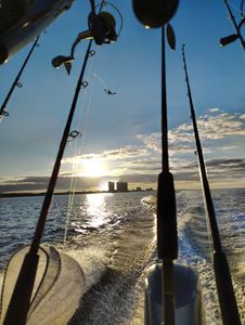October bites heating up off Panama City Beach