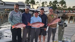 Late-Season Red Snapper and Big Grouper Cooperating on the Wrecks