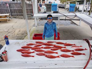 The perfect catch in Panama City! Snapper