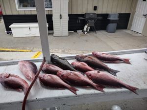 Fishing for red snapper in Florida.